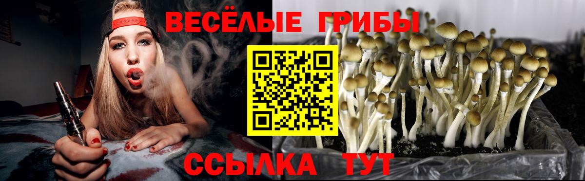 Мелеуз  Псилоцибиновые грибы Psilocybe  Вход с VPN  Псилоцибиновые грибы Psilocybe 